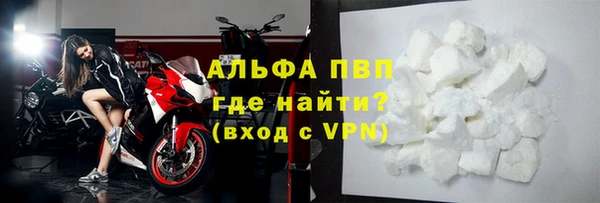 мдпв Верея