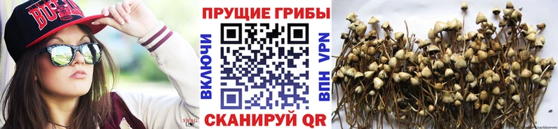 Псилоцибиновые грибы мухоморы  Горнозаводск 